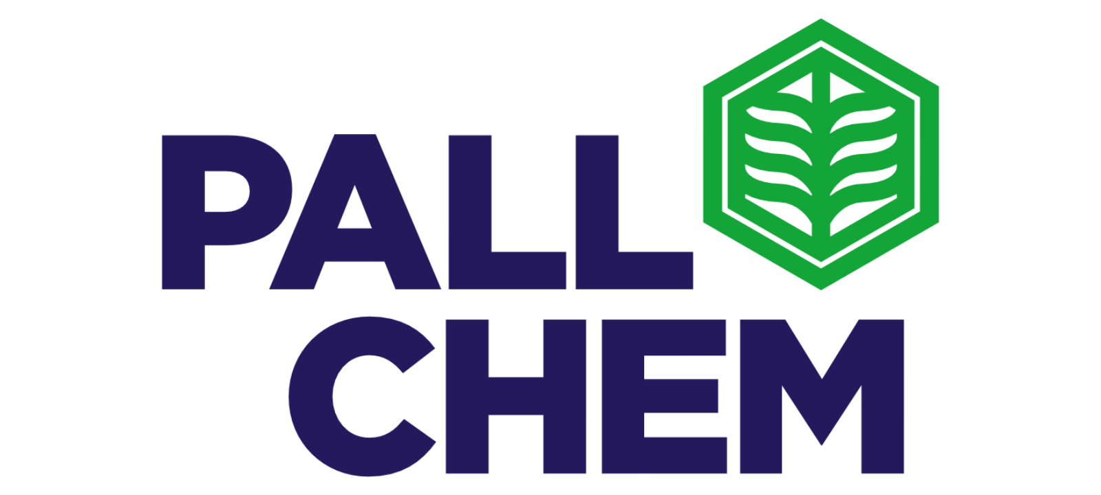 pallchem logo